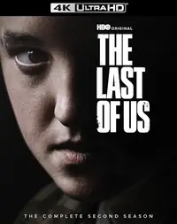 The Last of Us poster