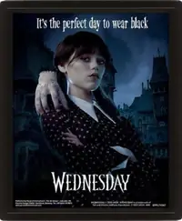 Wednesday poster
